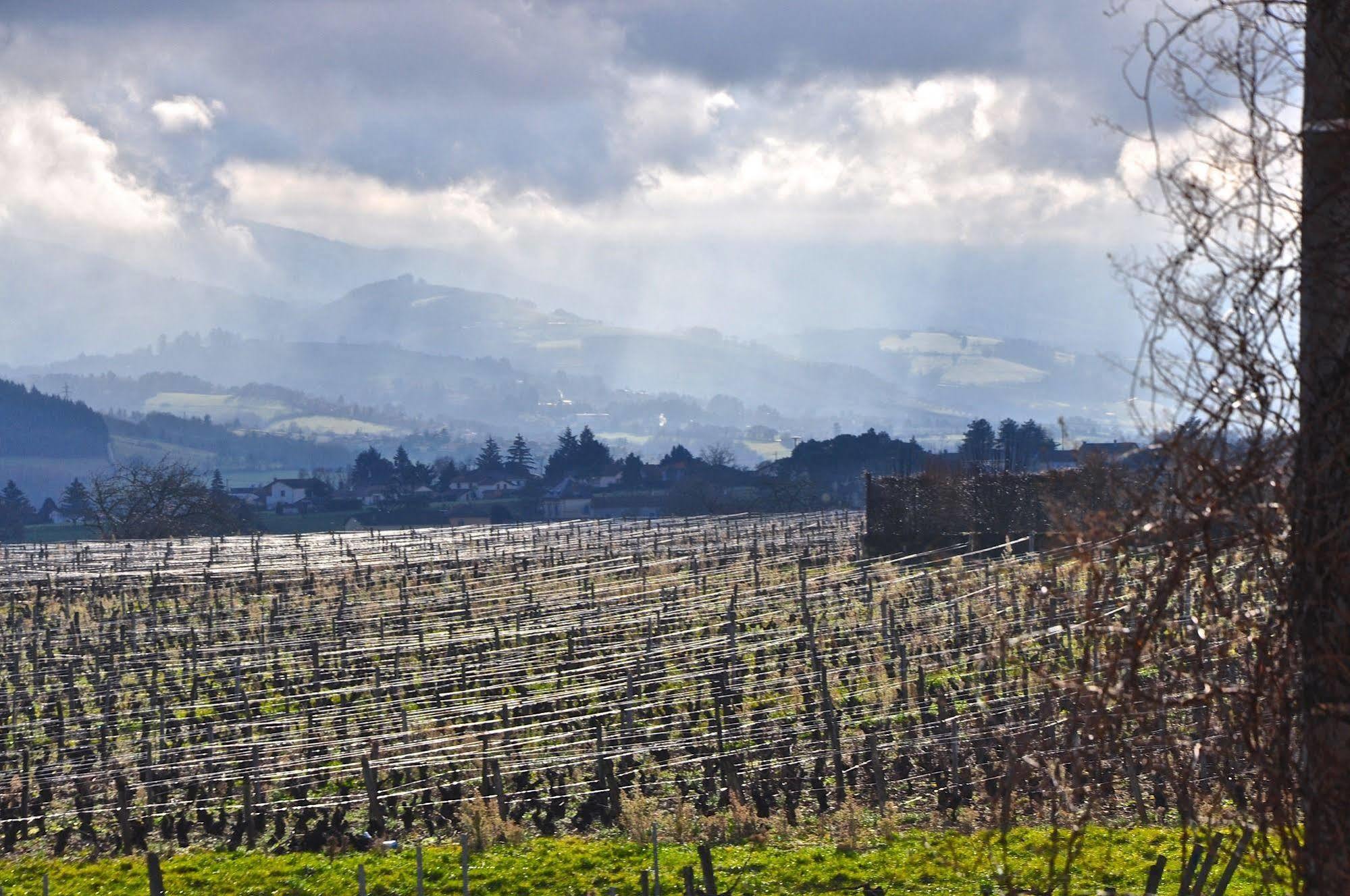 Saint-Germain-Nuelles Le Clos Du Cher En Beaujolais מראה חיצוני תמונה