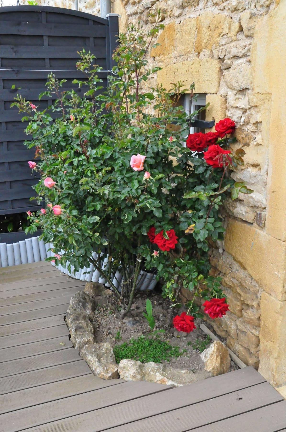 Saint-Germain-Nuelles Le Clos Du Cher En Beaujolais מראה חיצוני תמונה