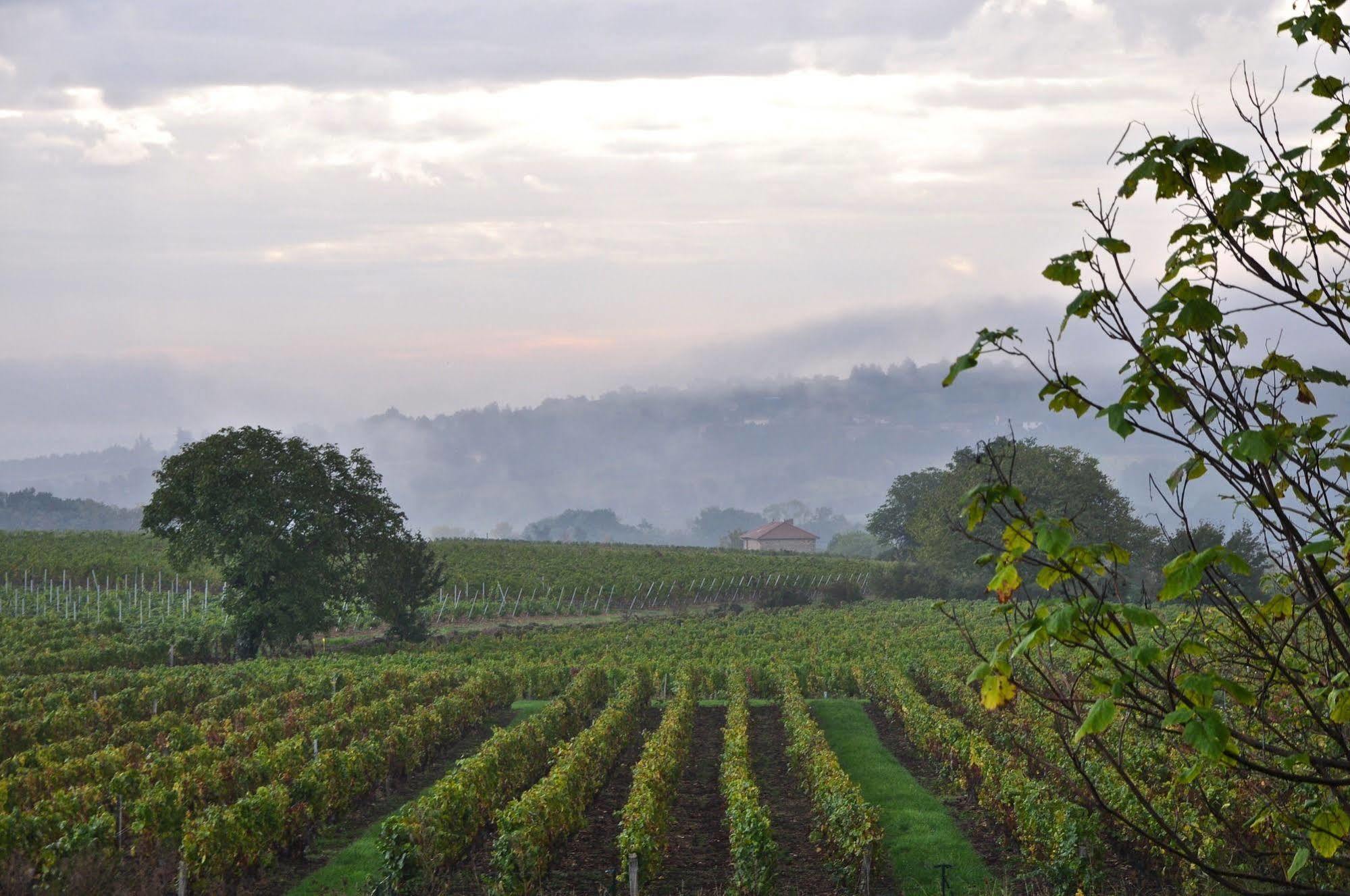 Saint-Germain-Nuelles Le Clos Du Cher En Beaujolais מראה חיצוני תמונה
