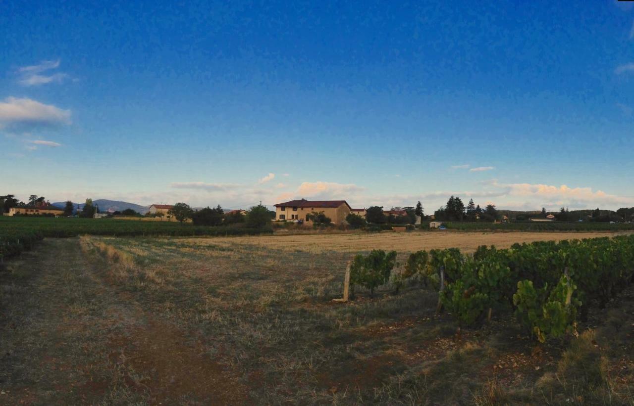 Saint-Germain-Nuelles Le Clos Du Cher En Beaujolais מראה חיצוני תמונה