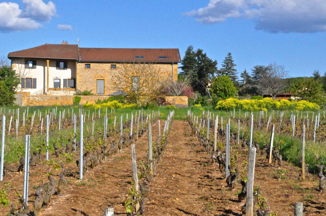 Saint-Germain-Nuelles Le Clos Du Cher En Beaujolais מראה חיצוני תמונה